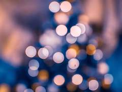 12월 24일의 의뢰인