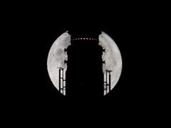 비하인드썰 독자님들 투표 부탁드립니다!