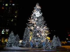 Merry Christmas Jasmine