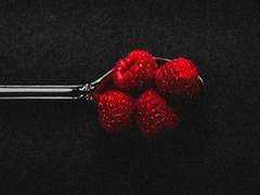 [리셸 L. 라인하르트/18/XX]