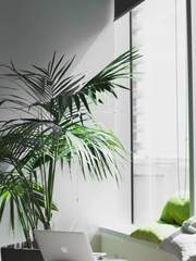 [재툥] 당신의 마음을 사로잡을 한 마디