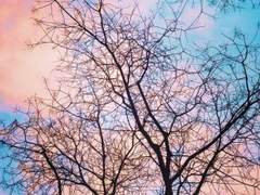 그대에 대하여, 06