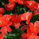 스불재의 화신으로 진화하는 TEI