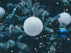 발자국이 향하는 집