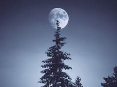 [찬백] 알파의 미학 03