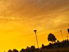 일곱번째 날 노란색 행복