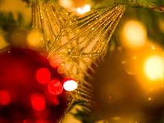 Nativitatis catta ~2~