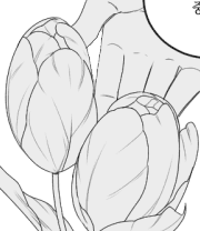 생각하는 것을 멈추지 마