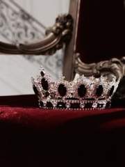 [새준] 좆생좆사 完