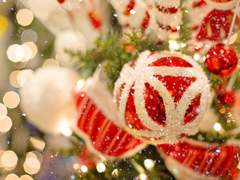 [미사와] 완벽한 크리스마스