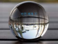 [가면라이더 위자드 / IF / 니토하루] 반전 세계 下