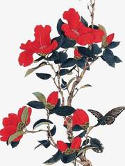 탁월하게 아름다운 것