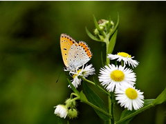 새작품 연재시작해요^^