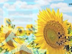 두번째 계절: '여름'