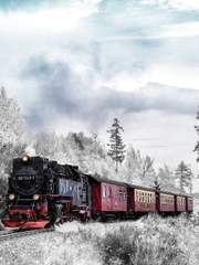 시리도록 아름다운 겨울에게