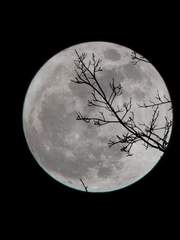 [마블]Spin a Daydream完