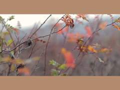 [쿤밤] 변하지 않는 건,