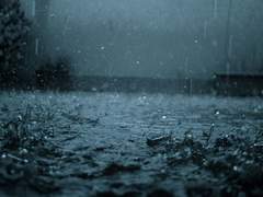 이슬雨가 내려요.