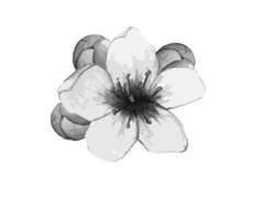 [희성/동매] 무용한 그대 23