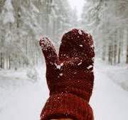 [댕햄] 크리스마스에는 축복을