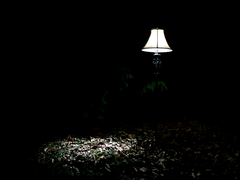 [뷔진] 이렇게 시작된 01