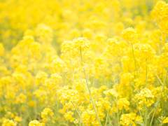 [택언유연] 숨바꼭질