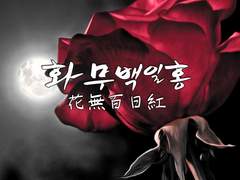 [191230] 리츠마오 - 화무백일홍