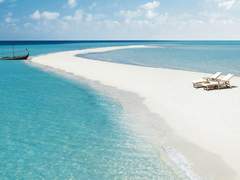 오픈 런 몰디브 - 上