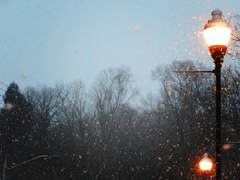 최윤화평 / 겨울잠