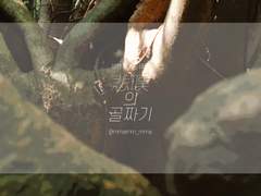 [현제태원/성송] 悲嘆의 골짜기