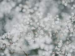 [루드릭루드] 겨울 나그네