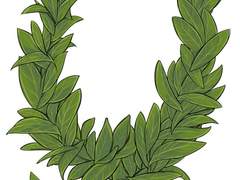 당신에게 크리스마스 트리를