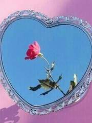 ⚡인우동식 전력⚡