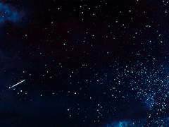 흐드러지게 피어난 붉은 꽃이 새까만 밤에게.