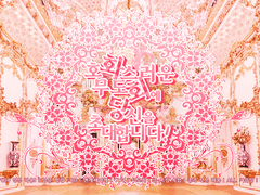 무도회 총 공지