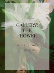 GALLERY: THE FROWER :: 라파엘 R. 리시안셔스