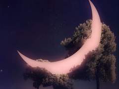 백설공주와 달빛과 기사