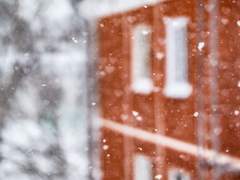 [쿱지] 겨울이 간다