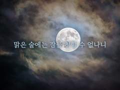 맑은 술에는 잠을 청할 수 없나니