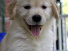 [남길] 아가의 칭얼거림