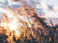 열아홉 시간 동안 열차를 타기로 했었지