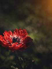 끊어지지 않았던