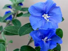 [뉴트민호]두 사람의 인연(1)