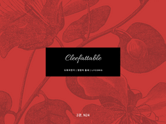 01/11 D:Festa 통판 인포