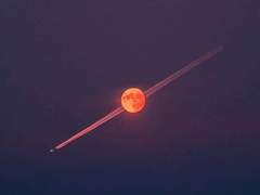 단 한번의 기회