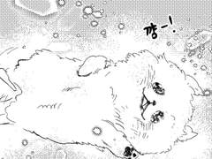 [찬백] 으르릉쾅쾅2