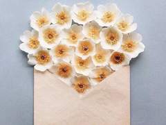 2019년 글 연말정산