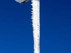 2. 테일러를 버린 날