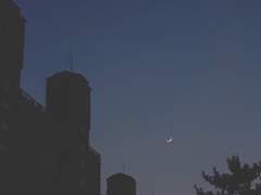 [ 공지 ] 낙화유수