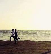 청춘시리즈: 내 청춘을 너에게 바친다.